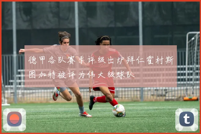 德甲各队赛季评级出炉拜仁霍村斯图加特被评为伟大级球队