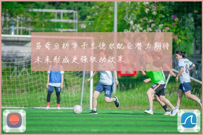 芬奇分析华子兰德尔配合潜力期待未来形成更强联动效果